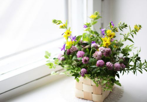 ����������¾��ã��������� (1)