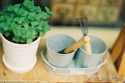 �������Σ�������� (5)