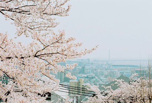 �ú������һ���ӽ��Ҹ����� (10)