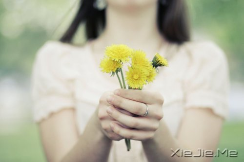 ƽ���밲���������������һ������ (5)