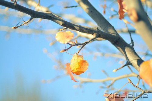 ����������������� (5)