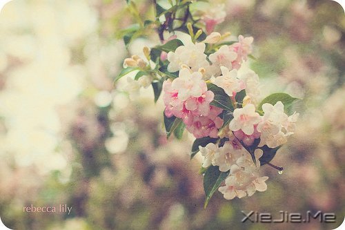 ֻҪ�����ߣ��ܻῴ������ (4)