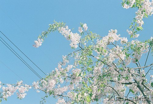 ��Ϊ֪�㣬���Ը��ӽ��Ҹ� (7)