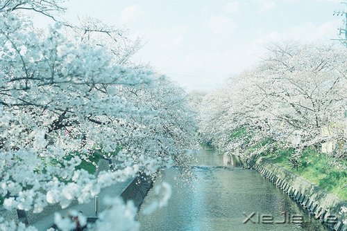 ��Ϊ֪�㣬���Ը��ӽ��Ҹ� (9)