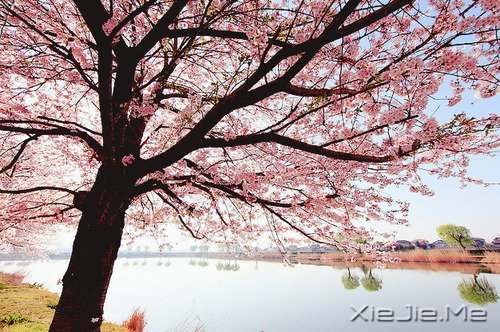 ���ܳɹ���������������� (2)