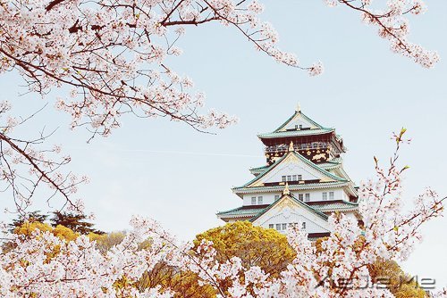 ���ܳɹ���������������� (7)