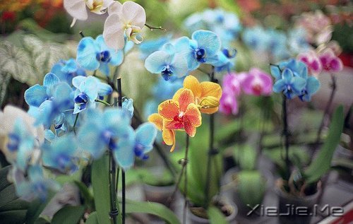 ��Ҫ���ű��˵Ľ�ӡ�����Լ���· (9)