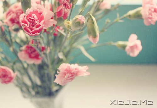 �簲������ʱ����Ե��ˣ�һ��Ҳ�Ͳ������ (10)