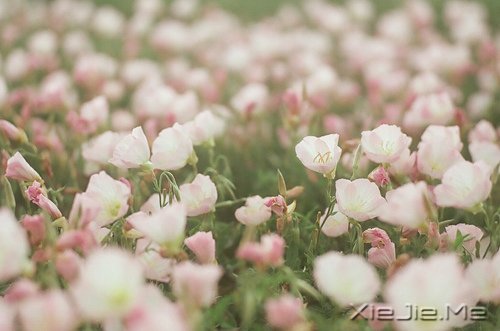 �簲����໰�Ȼ��Ըɾ�һǧ�� (10)