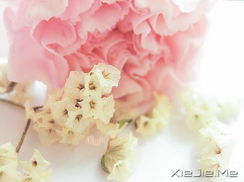 �簲�����һ�����ɣ�ȥ�������� (7)