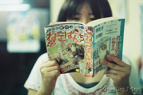 �������������ν�ĸ�������������һ·���� (7)