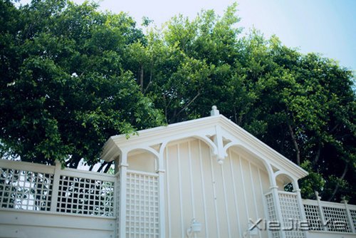 �������������ν�ĸ�������������һ·���� (6)