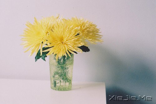 ��������˲������ں�ҹ���������û�й� (1)