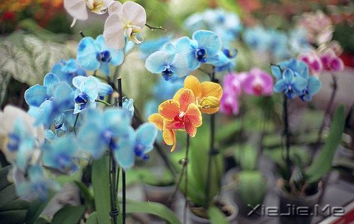 ��������˲������ں�ҹ���������û�й� (5)