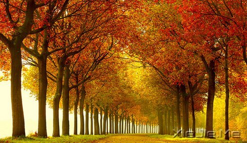 �簲�����ȥ�ľ͹�ȥ�ˣ�������Ȼ���� (5)