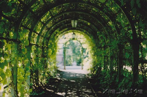 �簲�����ȥ�ľ͹�ȥ�ˣ�������Ȼ���� (7)