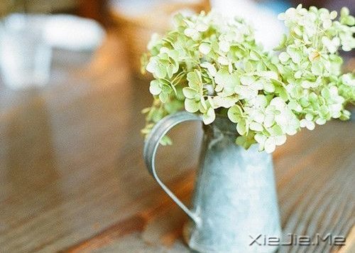 �������ÿһ���ഺ������ϣ�����ϣ�����������һֱ���� (10)