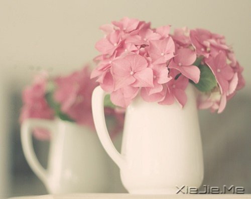 �簲������������ڱ��˵Ĺ���������Լ������� (2)