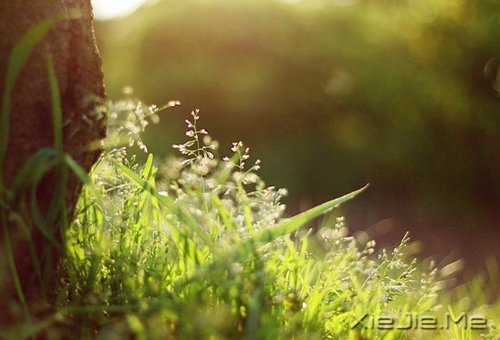 ��ʱ��Ķɿڣ����ǽ��ǹ��� (8)