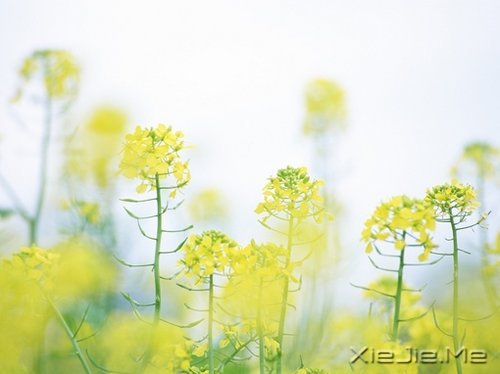 �簲�������Ҫ�ģ����¶������ (9)