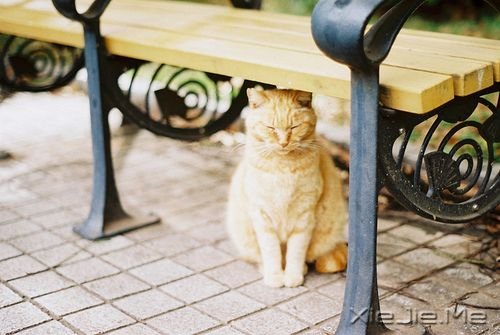 ���������õľ����������ǲ���˼������һ�� (4)