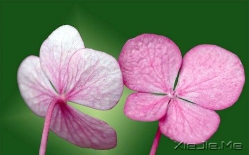 �簲���������������һ���˵����� (10)