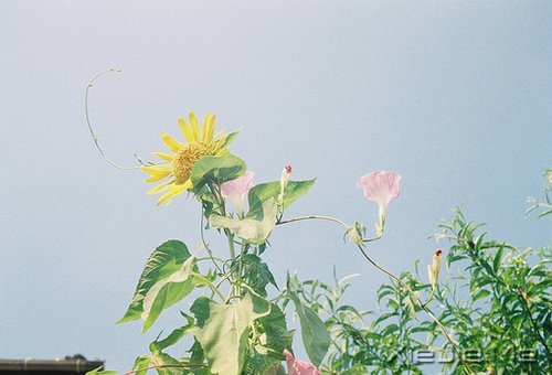 ���������ʰ���飬������· (3)