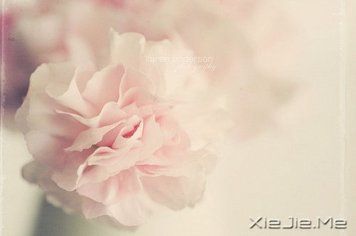 ����������������У����������� (9)