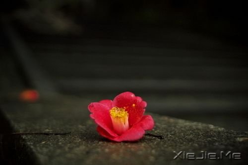 �������������Ҳ������������� (2)