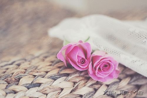 �簲��������������ˣ��Լ����Ƿ羰 (9)