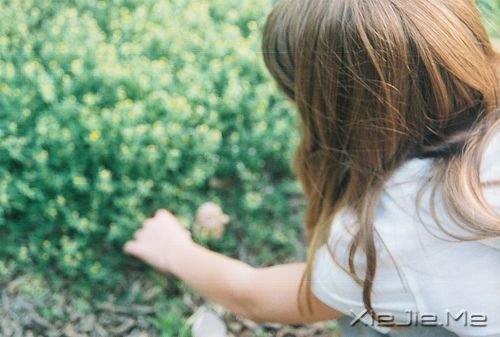 �����������������һ�ּ򵥵Ĺ켣 (2)