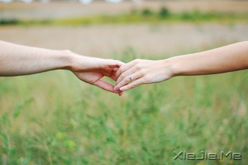 ���������Щ�£�ֻ���Լ��� (8)