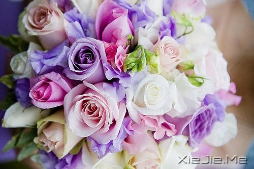 �������������������Լ� (5)