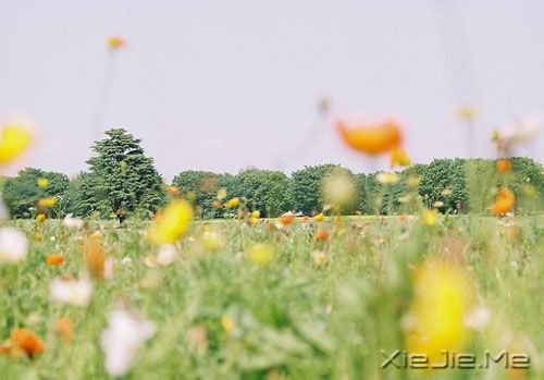 �������һ����ʱ���ƴ��Լ���������ʱ���ƴ��Է� (1)