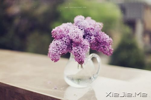 �����������һ�ο���������˲�䳤�� (1)