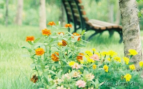 �簲����ɹ����ٶ�һ��Ҫ������ĸ��ȥ���ٶ� (9)