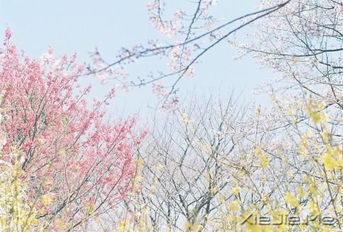 ������������õ��ܻ��ڲ��������� (5)