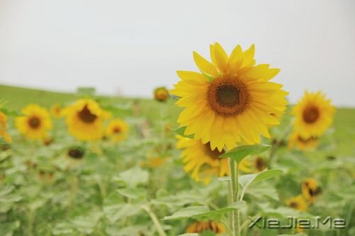 �簲���ֻҪ�����ߣ��ܻῴ������ (6)