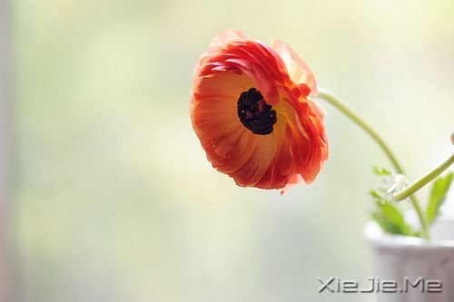 �簲��������Ҫ��������������������� (1)