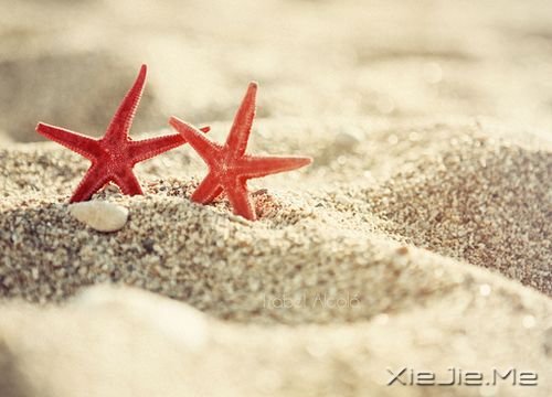 �簲��������Լ���������ֱ�� (10)