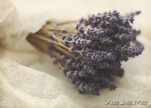 �����������ѧ����ϧ�Լ�������Ż���ϧ�� (3)