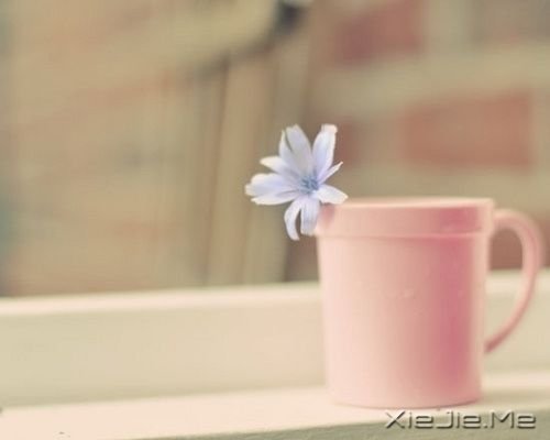 ���Ƕ�һ���������й�â (2)