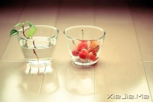 ���Ƕ�һ���������й�â (5)