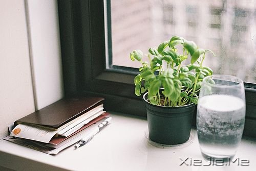 Ӣ���������ȴ���û�бȵ��¸��õ�ʱ�� (4)