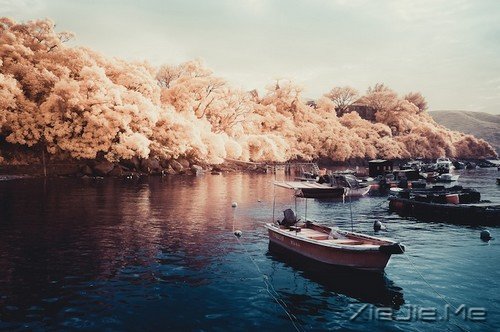 ������õ����