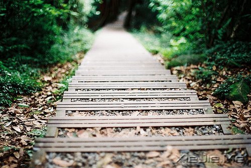 ������¼��һ���˵���ĵ��� (4)