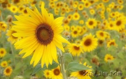 ������¼��������磬������������ (3)