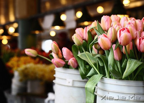 ��λ���ѹ����18������