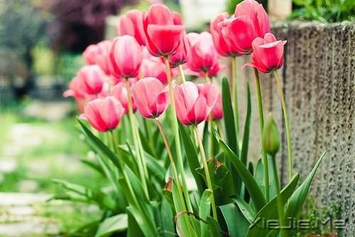 ������¼��ֻҪ�ʺ��Լ��������Ҹ� (5)