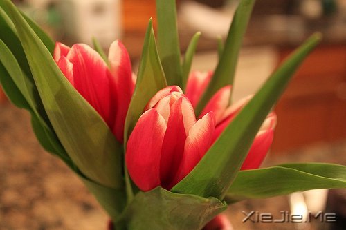 ������¼��ֻҪ�ʺ��Լ��������Ҹ� (9)